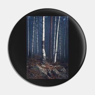 Trees in foggy forest Pin