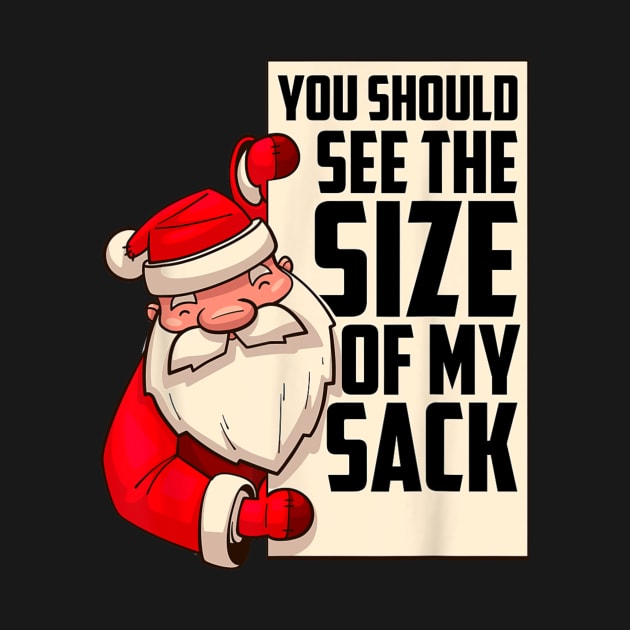 You Should See The Size Of My Sack Funny Santa Christmas by nadenescarpellos