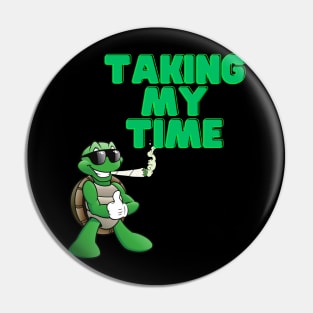 turtle turtles Pin