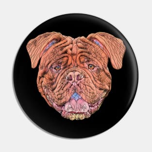 Dogue-de-Bordeaux Pin