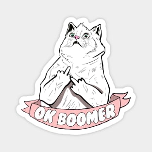 OK Boomer Cat Meme Magnet