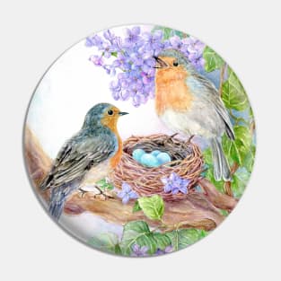 Robins with Nest and Eggs Pin