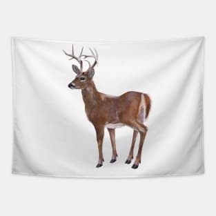 Whitetail Deer Buck Tapestry