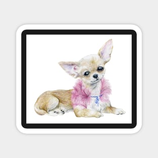 Chihuahua In rose boa Magnet