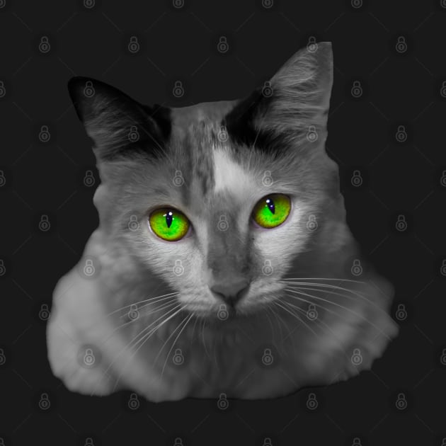 white cat green eyes by rickylabellevie