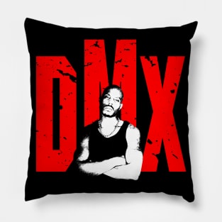 DMX Pillow