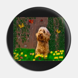 Cavapoo Cavoodle puppy among dandelions - cute cavalier King Charles spaniel Pin