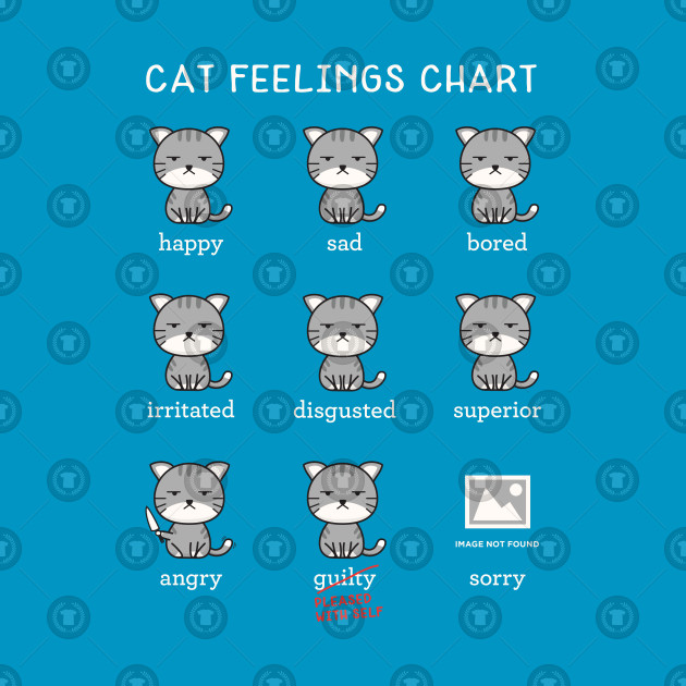 Cat Chart