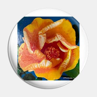 Orange-Yellow Chinese Hibiscus Pin