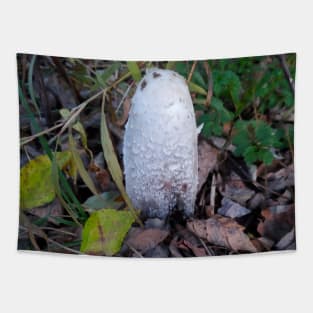 Shaggy Mane Tapestry