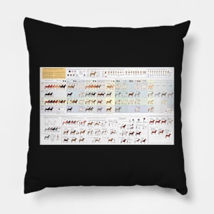 Guide to Horse Colors and Patterns Pillow