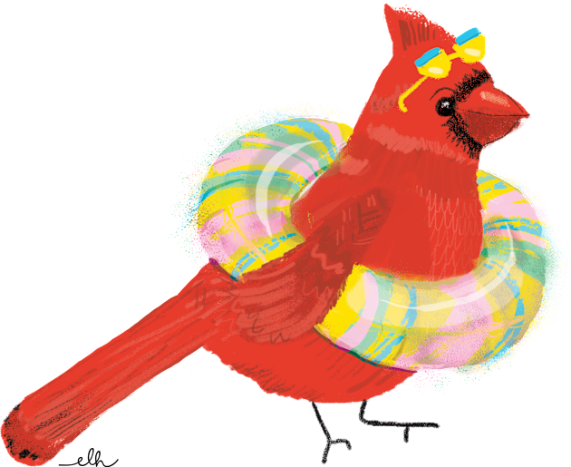 Mr. Cardinal Takes a Swim Kids T-Shirt by EmilyLaurelHarris