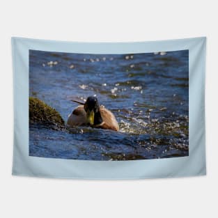 Swimming uphill Tapestry