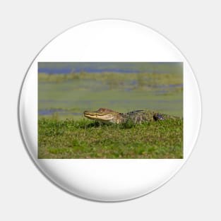 See ya later alligator Pin