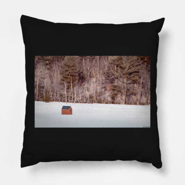 The Blessing of Solitude Pillow by BeanME
