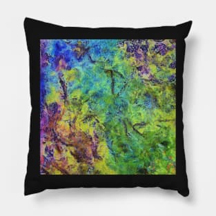 Stocksom Beauty of Paint 1 Pillow