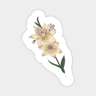 Daffodil flower bouquet Magnet