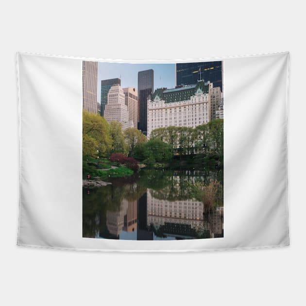 Central Park 9 Tapestry by igjustin