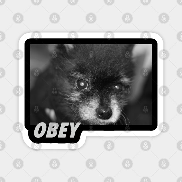 Obey Magnet by Thread Dazzle