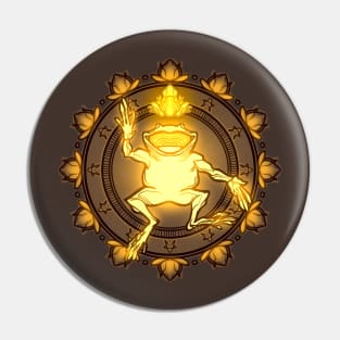 Enligtened Frog Pin