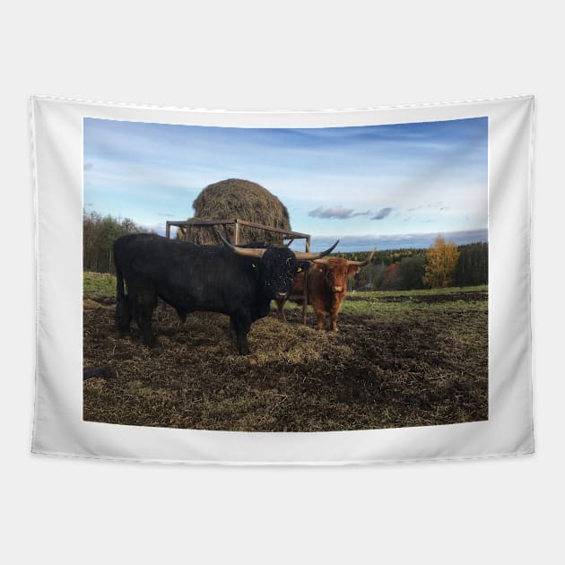 Scottish Highland Cattle Bull and Cow 2131 Tapestry by SaarelaHighland