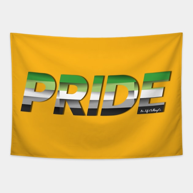 LGBTQ+ PRIDE: Aromantic Pride Flag Tapestry by BiLifeClothingCo