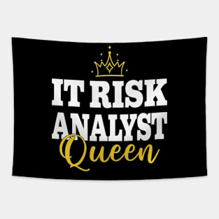 IT RISK ANALYST Tapestry