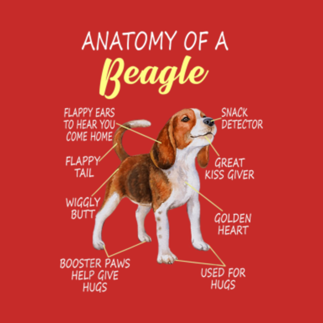 Anatomy Of A Beagle Gift For Dog Lover Beagle Dad Beagle Mom Anatomy