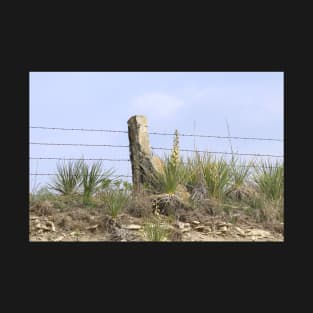 Kansas Stone Post Fence with Yuccas T-Shirt