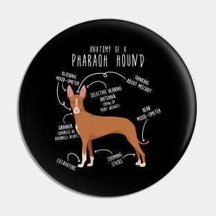 Pharaoh Hound Dog Anatomy Pin