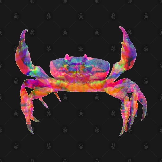 Trippy crab crustaceancore by F-for-Fab