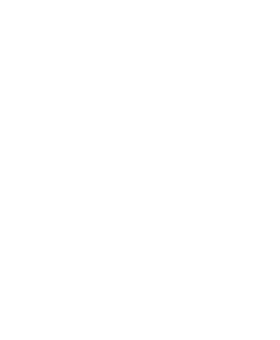 There are No Airbenders Here Magnet