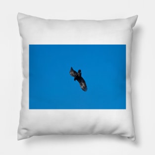 Wedge Tailed Eagle diving Pillow