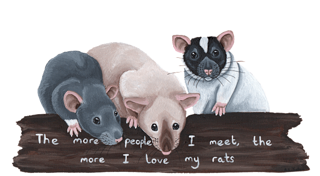 The more people I meet, the more I love my rats! Kids T-Shirt by WolfySilver