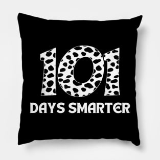 101 Days Smarter Pillow