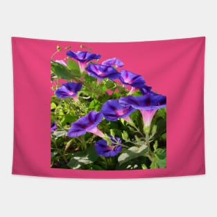 Purple Morning Glory Climbing Plant Vector Art Cut Out Tapestry