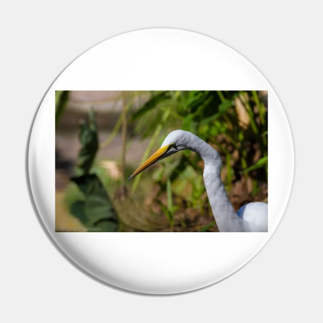 Egret Pin by redneckpoet