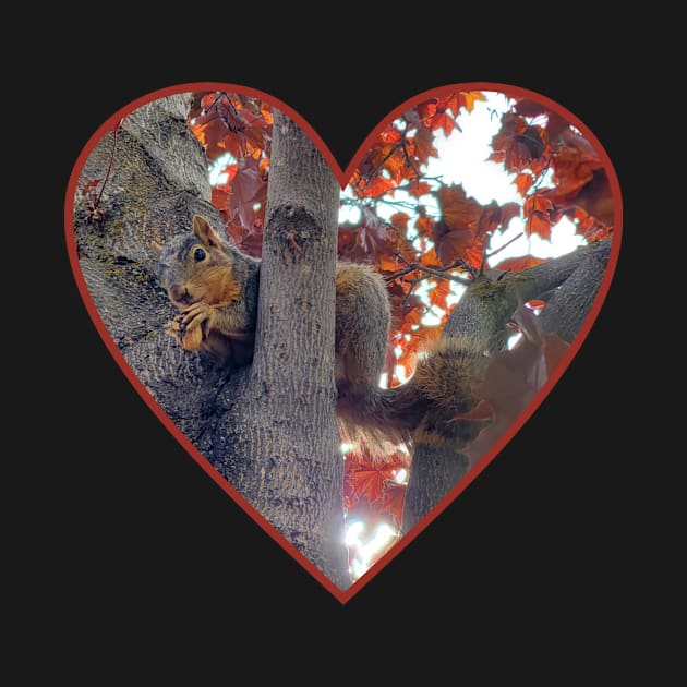 Love Squirrels by Night Owl