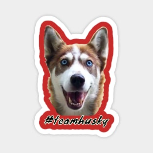 Team Husky Magnet