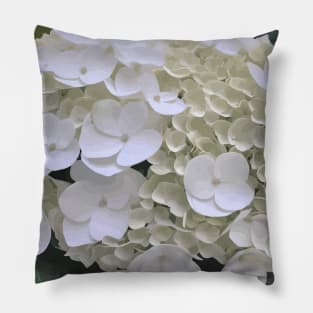 White Hydrangea Blossoming Flowers Pillow
