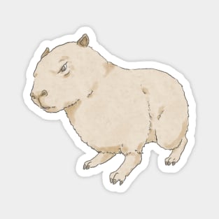 Capybara Magnet