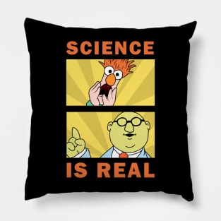 The Muppet Show Pillow