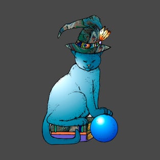 Blue witches cat with crystal ball and books T-Shirt