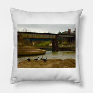 All Duckies in a Row a Buffalo Bayou Pillow