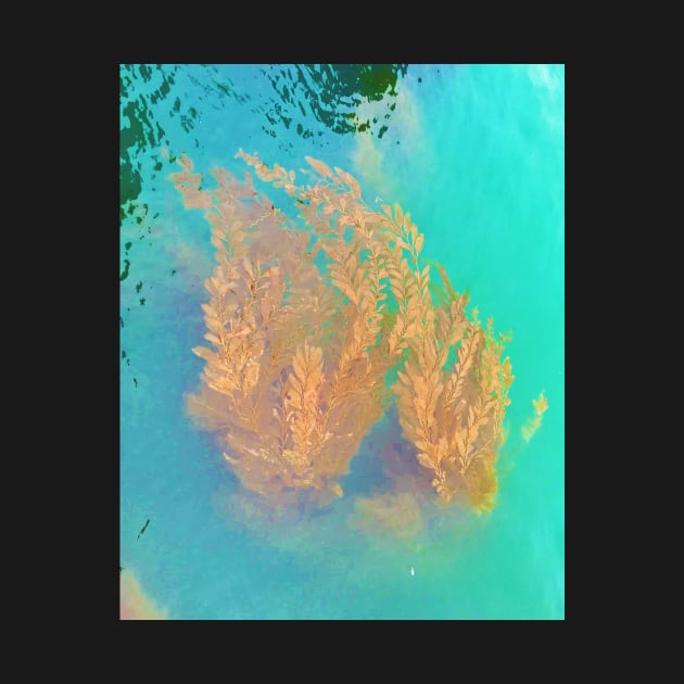 Kelp Floating in the Pacific Ocean by ephotocard