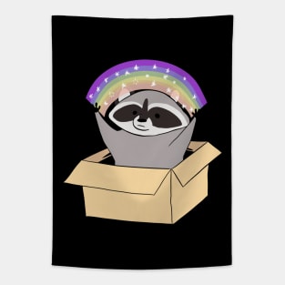 Funny Raccoon in a box with a rainbow Tapestry