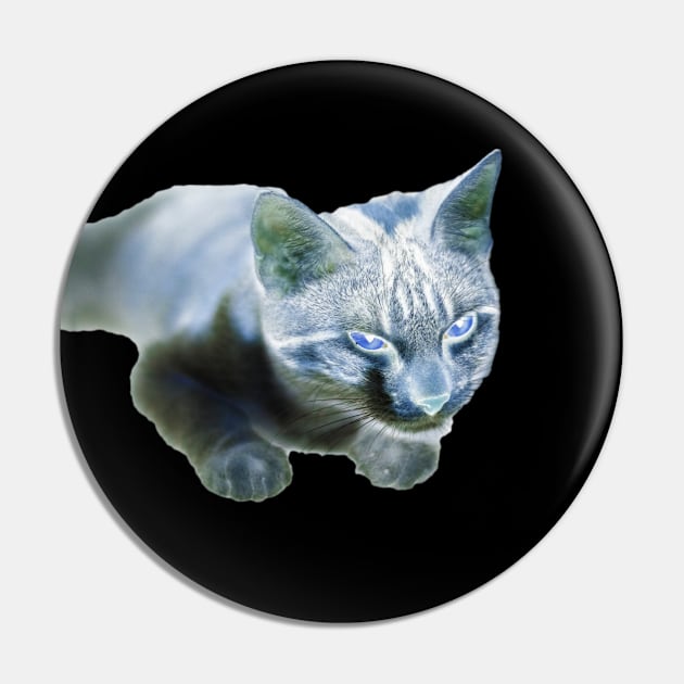 strange cat Pin by rickylabellevie