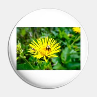 Bee On Elecampane Flower 1 Pin