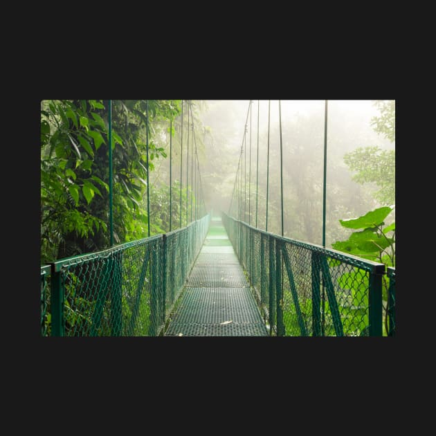 Suspension bridge in rainforest by Juhku