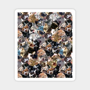 Cats Face Funny Cat Collage Magnet